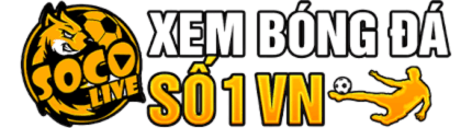 linkbong24h.com