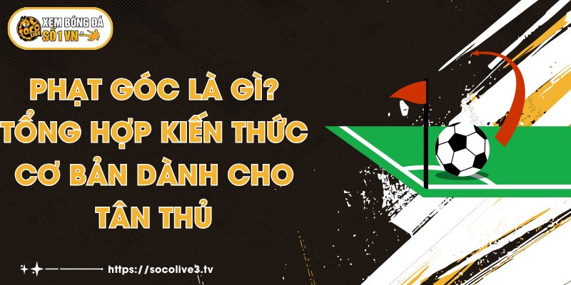 Phạt Góc Là Gì? Tổng Hợp Kiến Thức Cơ Bản Dành Cho Tân Thủ